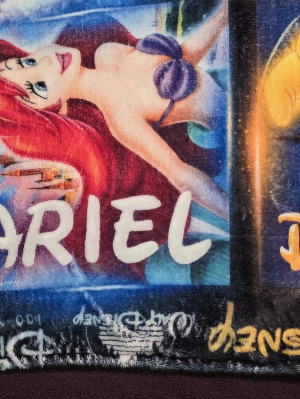 Disney 100 Years of Wonder Multicolor Throw Blanket